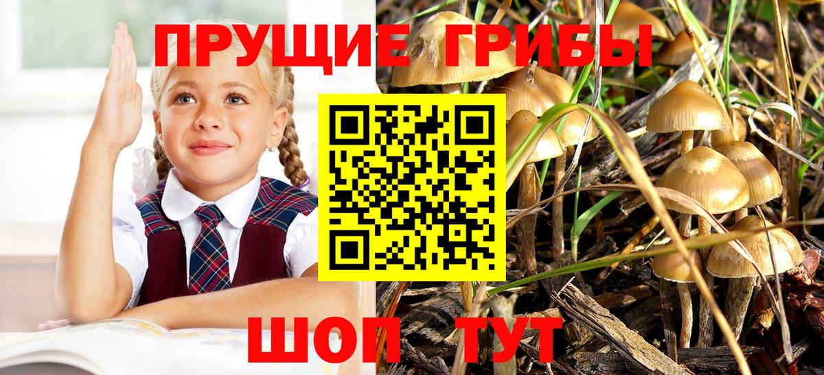 Галлюциногенные грибы ЛСД Благовещенск