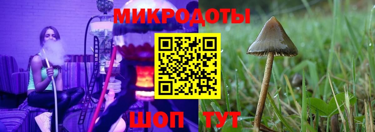 где можно купить   Псилоцибиновые грибы ЛСД  Вход с VPN  Благовещенск 